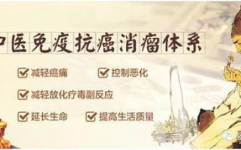 中医的网红,网红视角下的传统智慧新解读