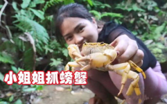 越南小姐姐抓椰子鸡,小姐姐抓椰子鸡的温馨瞬间