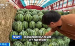 吃瓜网中,吃瓜网带你领略明星幕后故事