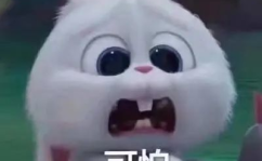 揭秘网红吃瓜事件真相,揭开背后真相的神秘面纱