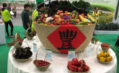 黑网料吃瓜网地址图标一直在桌面,桌面图标频现，背后真相令人震惊