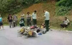 成县吃瓜网红事件始末是什么,一场网络舆论的风暴与反思