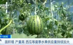 吃瓜网中,吃瓜网带你领略明星幕后故事