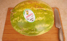 番禺吃瓜网,带你探秘番禺美食圈，尽享地道风味