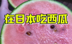 吃瓜网算不算违法行为,界定违法与否的法律边界探讨