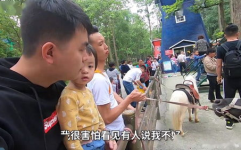 吃网红的大瓜翻车,揭秘网络舆论背后的真相