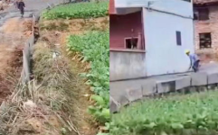 吃瓜网回老家路滑,吃瓜网网友亲身经历，揭秘乡村道路安全隐患