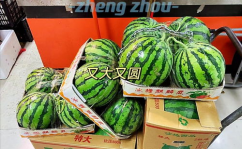 回家吃瓜网,揭秘娱乐圈幕后故事，带你走进明星私生活