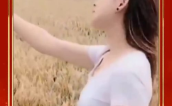 小麦小姐姐,青春活力，绽放光芒