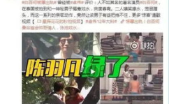 吃瓜事件网红小三视频大全,吃瓜事件视频大全集锦
