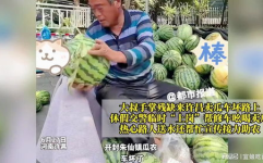 黑料吃瓜网回家路,回家路上的那些秘密与真相