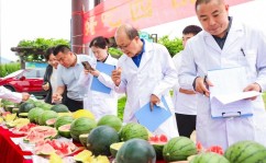 我们的吃瓜自由是怎么实现的中国人的“吃瓜自由”底气越来越足